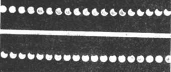 Рис. 5а. Последовательные фазы частного затмения Солнца 28 апреля 1949 г.